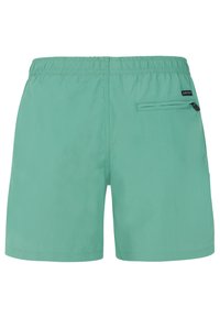 Męskie spodenki kąpielowe w kolorze zielono-niebieskim z elastycznym paskiem w talii i zapinanym na zamek kieszonką z tyłu po prawej stronie, prosty wzór.