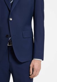 Man draagt een donkerblauw pak met een wit overhemd en een gestreepte stropdas, waarbij het jasje dichtgeknoopt is en de hand ontspannen langs het lichaam hangt.