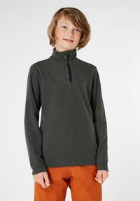 Pull-over en polaire vert foncé avec un col haut, dotée d'une fermeture éclair à l'avant et d'un accent logo noir. Manches longues et texture douce.
