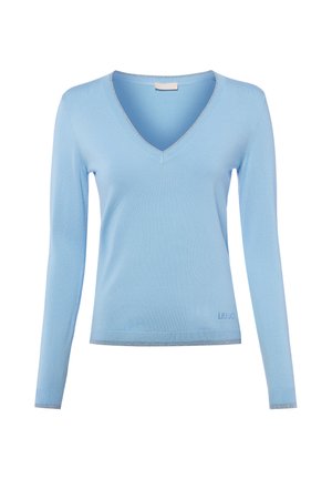 Hellblauer, langärmliger Pullover mit V-Ausschnitt, eng anliegenden Bündchen und Saum, mit dezentem Markenlogo nahe dem unteren Rand.