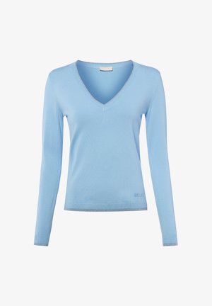Hellblauer, langärmliger Pullover mit V-Ausschnitt, eng anliegenden Bündchen und Saum, mit dezentem Markenlogo nahe dem unteren Rand.