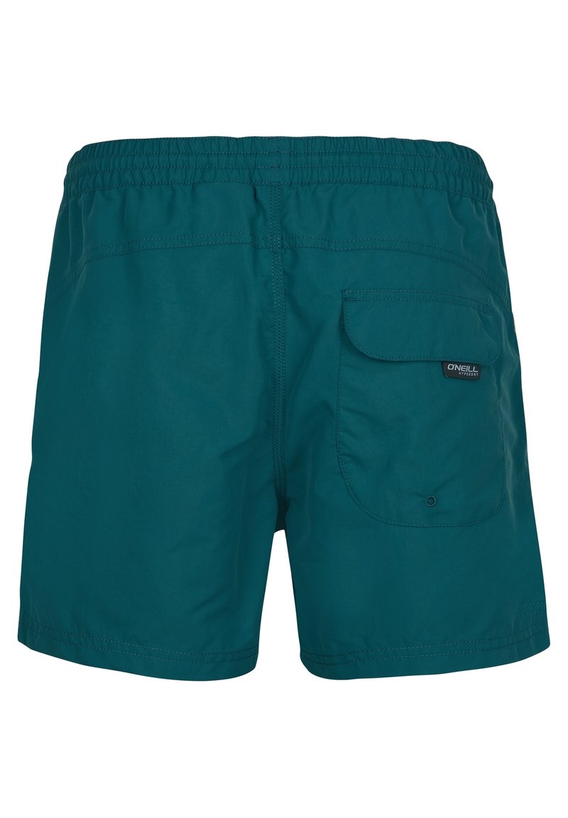 Herren Shirts | O'Neill GOOD DAY Badeshorts blue coral/grün - PJ99340 Herren Shirts | O'Neill GOOD DAY Badeshorts blue coral/grün - PJ99340