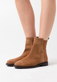 Stivaletti alla caviglia in pelle scamosciata marrone con pannelli elastici laterali e suola piatta nera. Presentano un piccolo logo dorato sul lato.