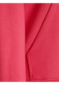 JJXX JXANINA  RELAXED EVERY NOOS - Jersey con capucha - bright rose