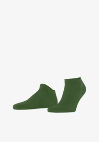 Unausgewählt, cypress