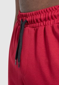 Smilodox NALE TRAINING SHORTS - Korte broeken - bordeaux