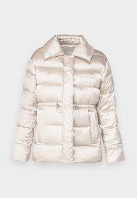 Calvin Klein JACKET - Winter jacket - gray morn