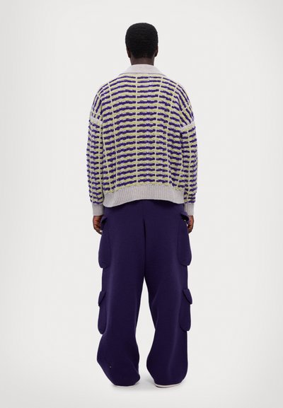 Bonsai OVERSIZE FIT UNISEX - Jumper - grey/purple/green