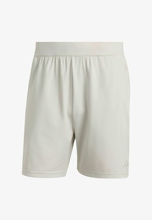 adidas Performance, ADIDAS PERFORMANCE PUREMOTION SHORTS - Pantaloncini sportivi - orbit grey