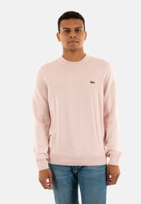 Pull en tricot rose clair à manches longues, col rond et ourlet côtelé. Présente un petit logo vert brodé sur la poitrine.