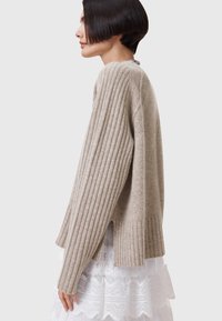 AllSaints ANTHE  - Neule - brown
