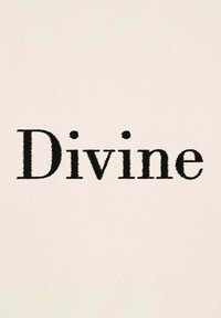 Tessuto con uno sfondo chiaro e morbido, caratterizzato da grandi e audaci lettere serif nere che scrivono "Divine." Design semplice con poche decorazioni.