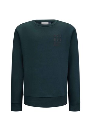 Groene sweatshirt van zacht materiaal, met een ronde halslijn, lange mouwen en een textuur ontwerp van het logo aan de voorkant.