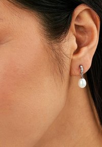 FAVS Örhänge - silver coloured