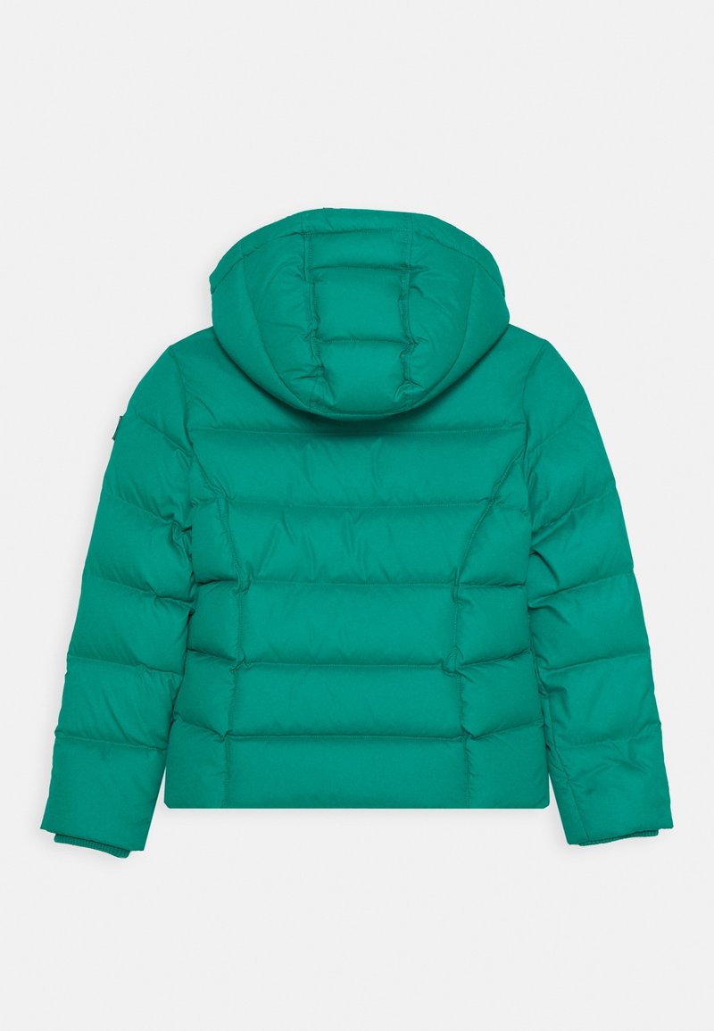 Tommy Hilfiger ESSENTIAL BASIC JACKET Daunenjacke green/grün