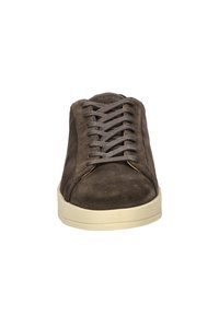 Sneaker in suede marrone con punta arrotondata, lacci grigi e suola in gomma crema. Presenta cuciture minimali e un design semplice.