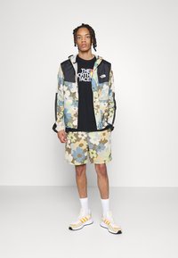 The North Face M SEASONAL MOUNTAIN JACKET - EU - Casaco para exterior - military olive heritage