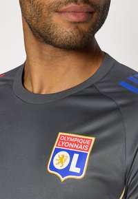 Harmaa urheilupaita, jossa on pyöreä pääntie ja värikäs Olympique Lyonnais -logo edessä, johon kuuluu leijonasymboli ja "OL" -alkukirjaimet.