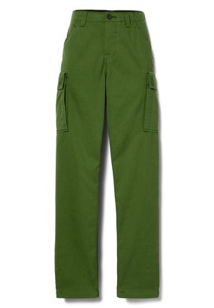 Groene cargobroek gemaakt van duurzaam materiaal, met twee zijzakken, een knoopsluiting en een recht gesneden ontwerp. Glad oppervlak zonder patronen.