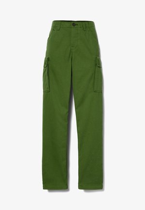 Pantalones cargo verdes hechos de una tela resistente, con dos bolsillos laterales, cierre de botón y diseño de pierna recta. Textura suave sin patrones.