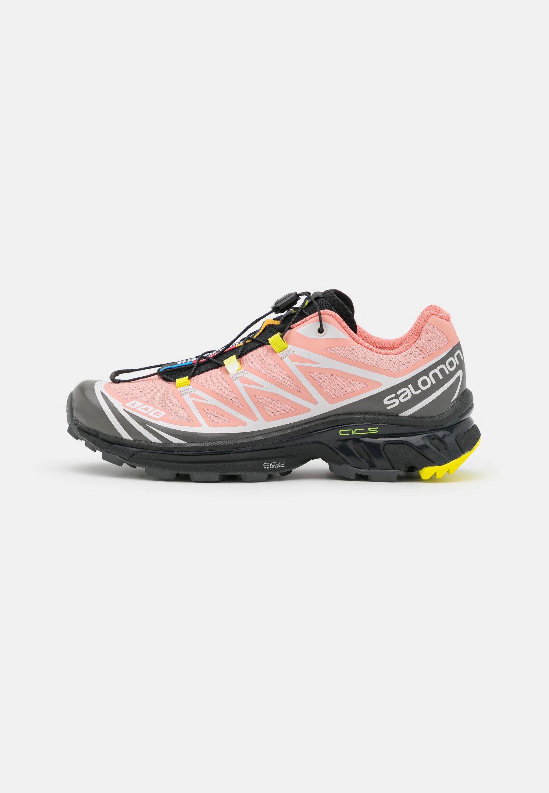 salomon xt 6 silver