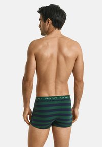Boxer briefs a rayas verde oscuro y marino con una cinturilla elástica de marca. La tela parece suave y se ajusta al cuerpo.