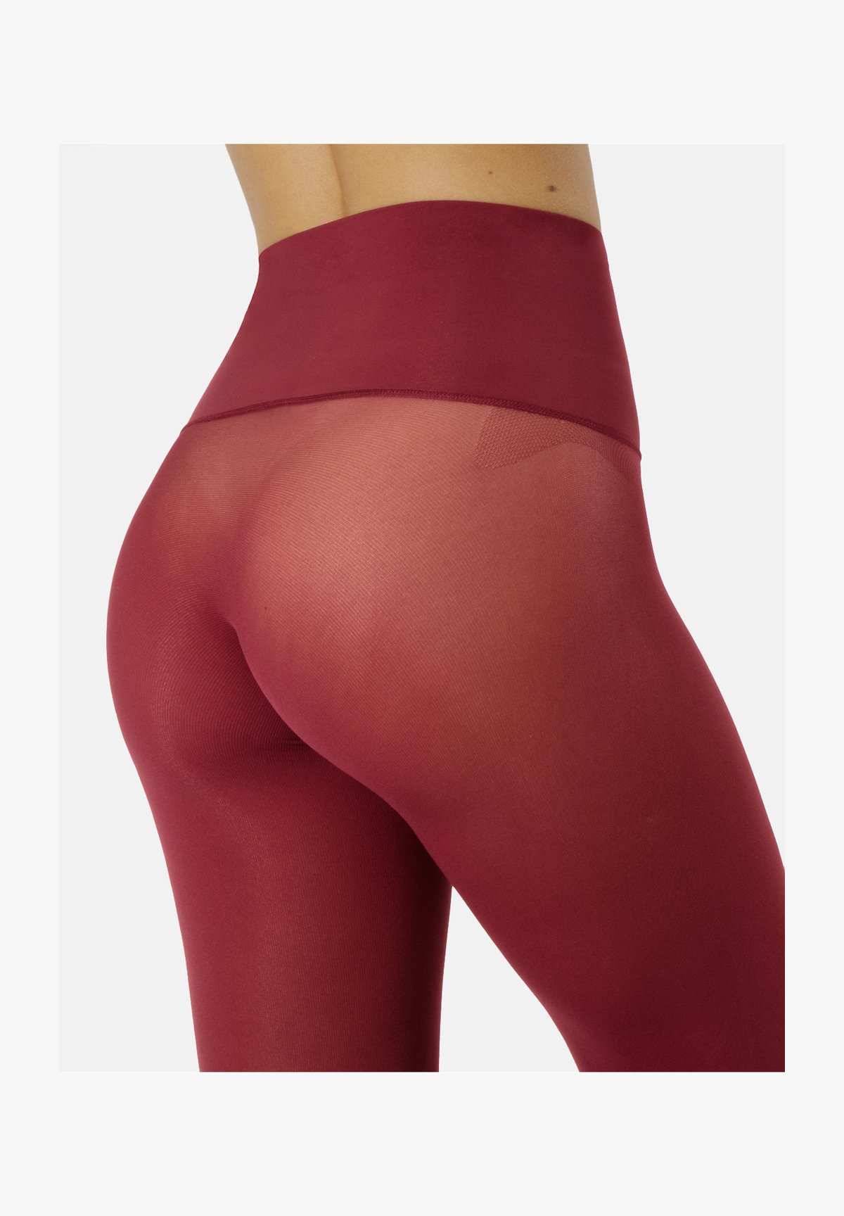 Aubrion Collant Da Equitazione ELTAR – Donna – Bordeaux, Taglia XXL – Traspirante E Antiumidità