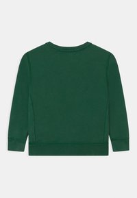 Grön långärmad sweatshirt i mjukt tyg. Har rund halsringning och enkel design, utan synliga logotyper eller mönster.