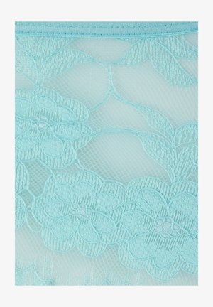 Light blue lace fabric featuring floral patterns with embroidered details and a sheer texture, outlined with a smooth waistband.