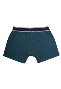 Band of Rascals SIGNATURE - Underkläder - racing green navy