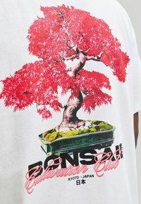 Balta marškinėliai su ryškiai raudonu bonsai medžio grafiniu atvaizdu, kuriame matyti žalia samanėlė juodame vazonėlyje, kartu su užrašu "Bonsai auginimo klubas."