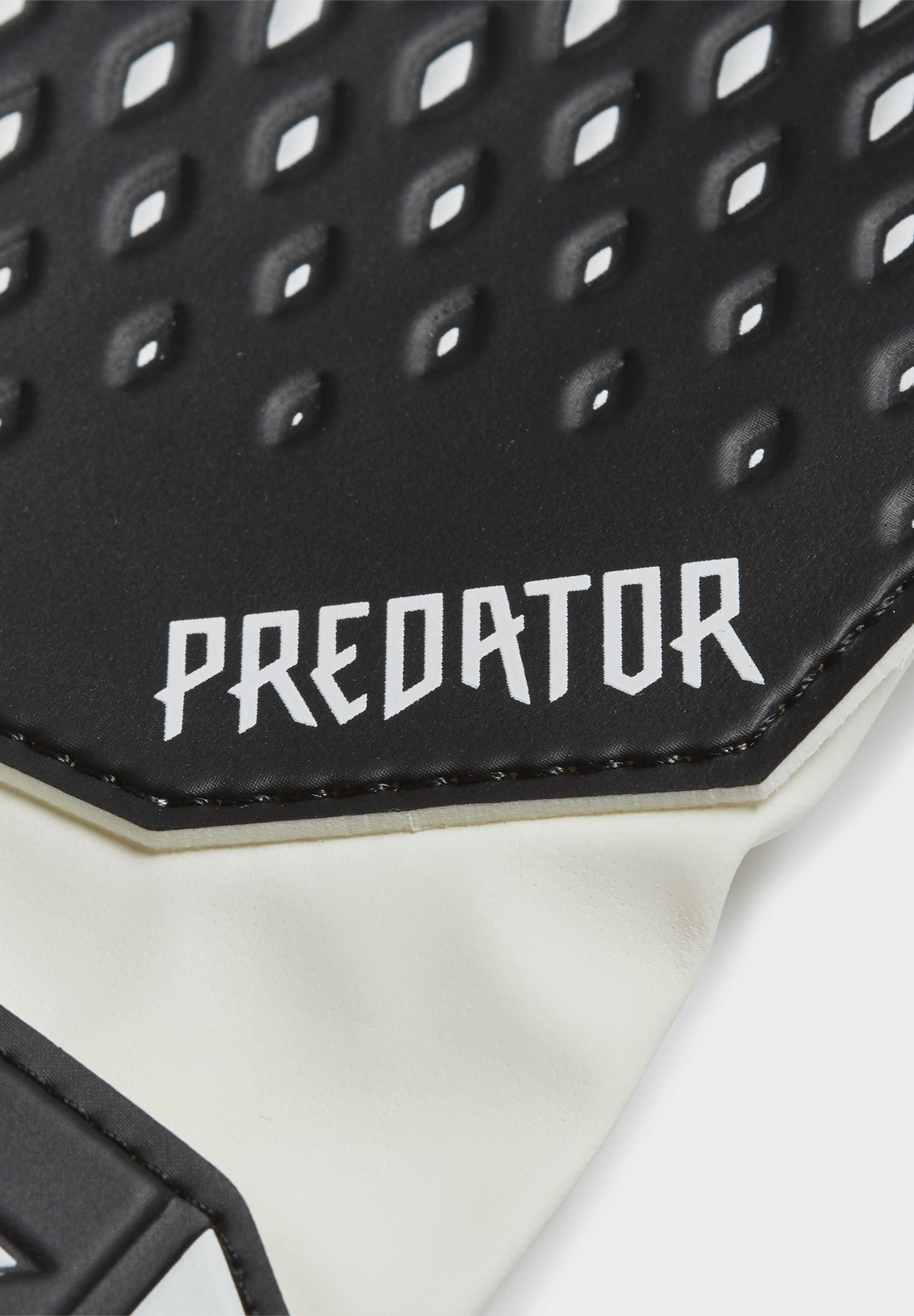 predator 20 training