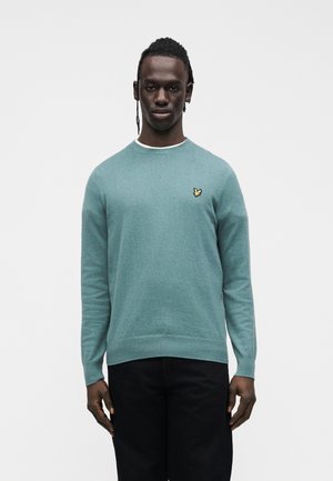 CREW NECK JUMPER - Strickpullover - agave green