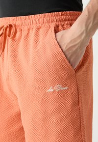 Les Deux STAN SWIM 2.0 - Shorts - baked papaya