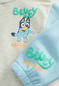 Jasnoszara tkanina bluzy z nadrukiem postaci z kreskówki Bluey, z turkusowymi i pomarańczowymi akcentami oraz teksturowanymi literami.