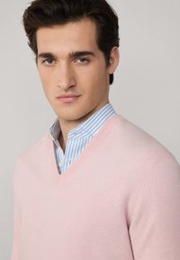 Giovane uomo con capelli scuri che indossa un maglione a V di un rosa chiaro sopra una camicia a righe blu e bianche, sfondo neutro.