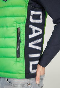 Camp David Vesta - green