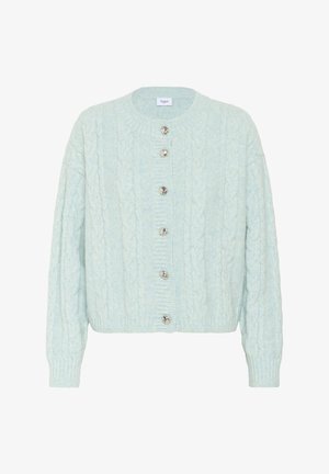 Cardigan lavorato a maglia celeste con maniche lunghe e sei bottoni argentati lucidi lungo la parte centrale anteriore.