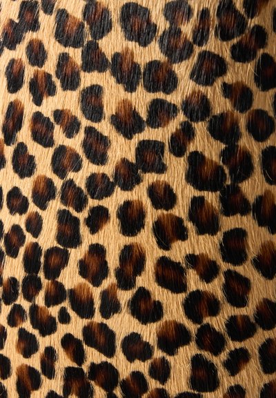 Gros plan de fourrure d'animal fauve avec des taches irrégulières brun foncé et noires formant un motif dense de léopard.