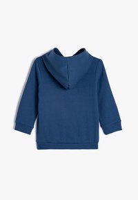 Felpa blu con cappuccio, dotata di orlo e polsini a coste, caratterizzata da un cappuccio ampio e in morbido tessuto misto cotone. La vista posteriore mostra i dettagli della cucitura.