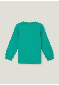 Tuerkisfarbendes Langarm-T-Shirt aus Baumwolle mit Rundhalsausschnitt und gerippten Bündchen. Glatte Textur ohne sichtbare Muster oder Akzente.