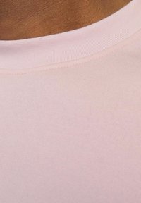 Jack & Jones JORVESTERBRO CREW NECK - Ikdienas džemperis - fairy tale