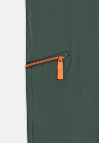 Jack Wolfskin TURBULENCE  - Pantalones montañeros largos - slate green