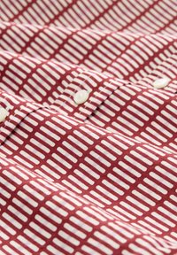 TOM TAILOR GEMUSTERTE - Overhemdblouse - contemporary red check