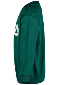 Zielona bluza z długimi rękawami, okrągłym dekoltem i ściągaczami na mankietach. Na przodzie znajduje się duże białe logo. Wykonana z miękkiej bawełny.