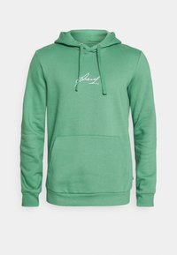 Sudadera con capucha verde, con bolsillo frontal tipo pouch y texto en estilo firma blanco en el pecho, con cordones en la capucha.
