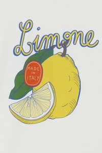 Yellow lemon illustration with green leaves, accompanied by the word "Limone" in blue and a red circle stating "Made in Italy." White background.