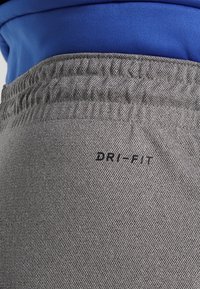 Graue Dri-Fit-Shorts mit einem elastischen Bund, glatter Textur und einem kleinen schwarzen Logo auf der Seite. Blaues Shirt teilweise darüber sichtbar.