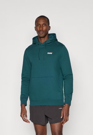 COLOR SMALL LOGO HOODIE  - Felpa con cappuccio - green terrain
