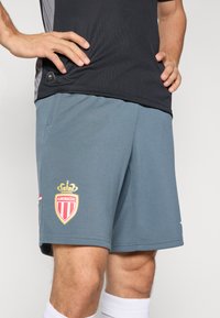 Grijze sportieve shorts van lichtgewicht stof, met een AS Monaco FC-logo, een elastische tailleband en zijzakken voor extra gemak.